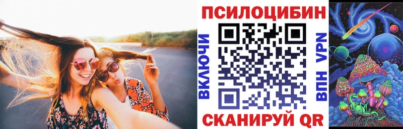 Галлюциногенные грибы Cubensis дарнет шоп Дудинка